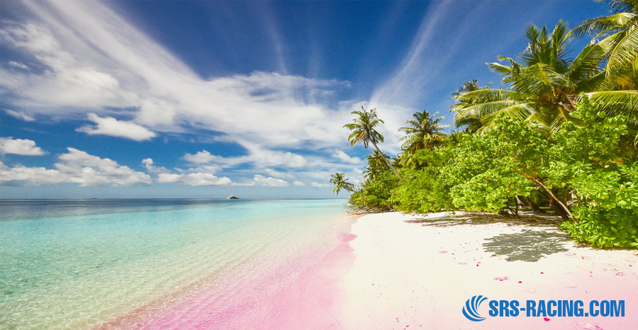 A Complete Guide to Exploring Pink Beach Lombok 23 Activities at Pink Beach Lombok