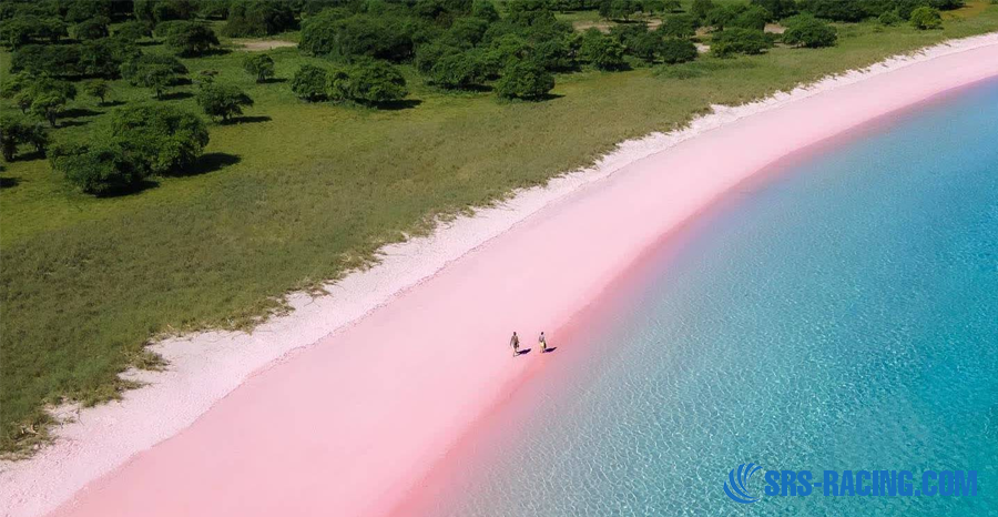 A Complete Guide to Exploring Pink Beach Lombok 25 Nearby Attractions to Explore