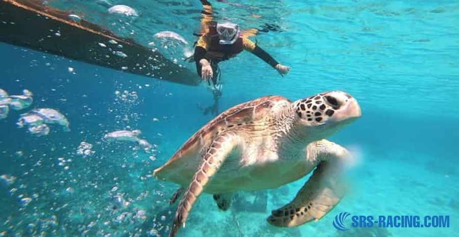 Unforgettable Lombok What to See Experiences Await 5 Thrilling Outdoor Activities in Lombok